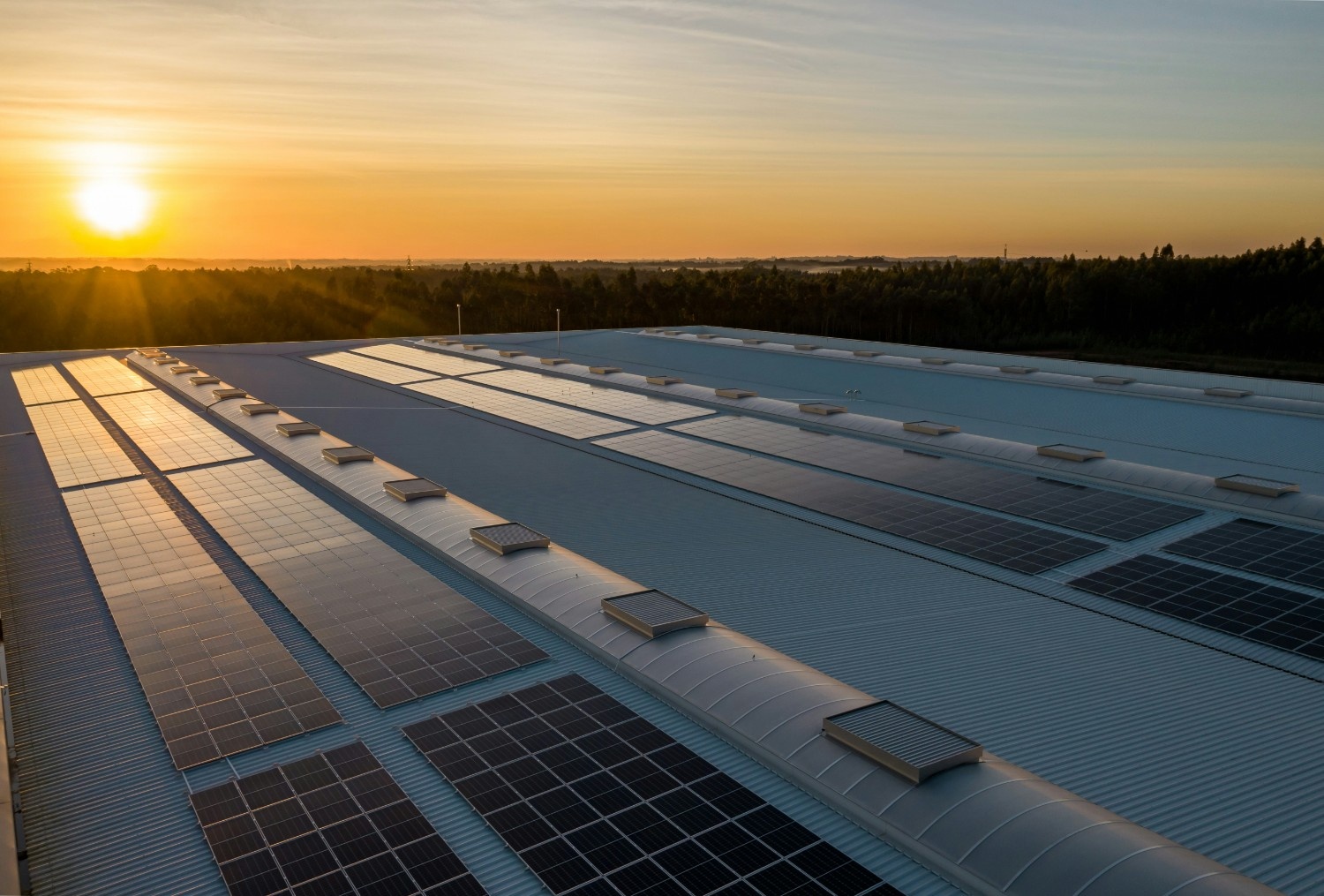 Why Choose Raymount Energy